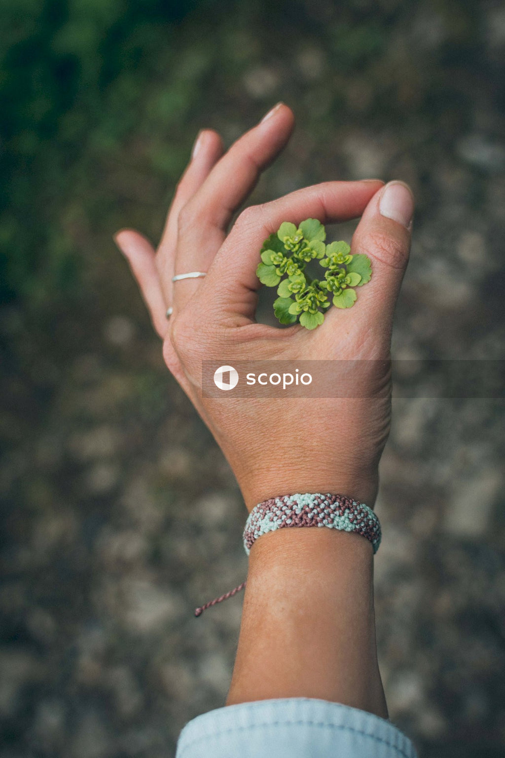 Person with a blue and brown bracelet holding green and white flower