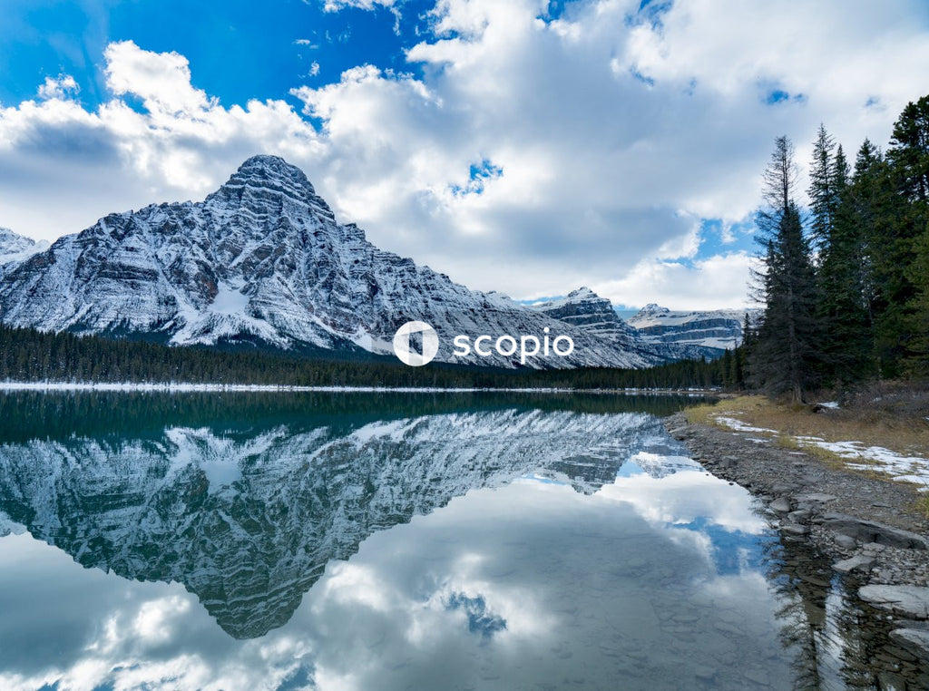 Lake surrounded by trees near snow covered mountain