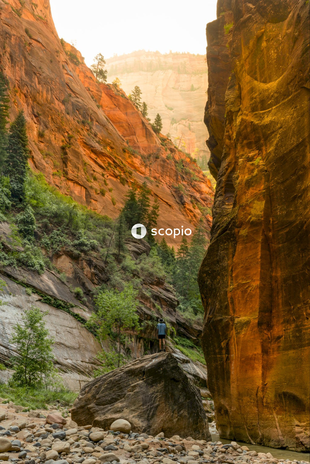 Person in blue jacket standing on brown rock formation
