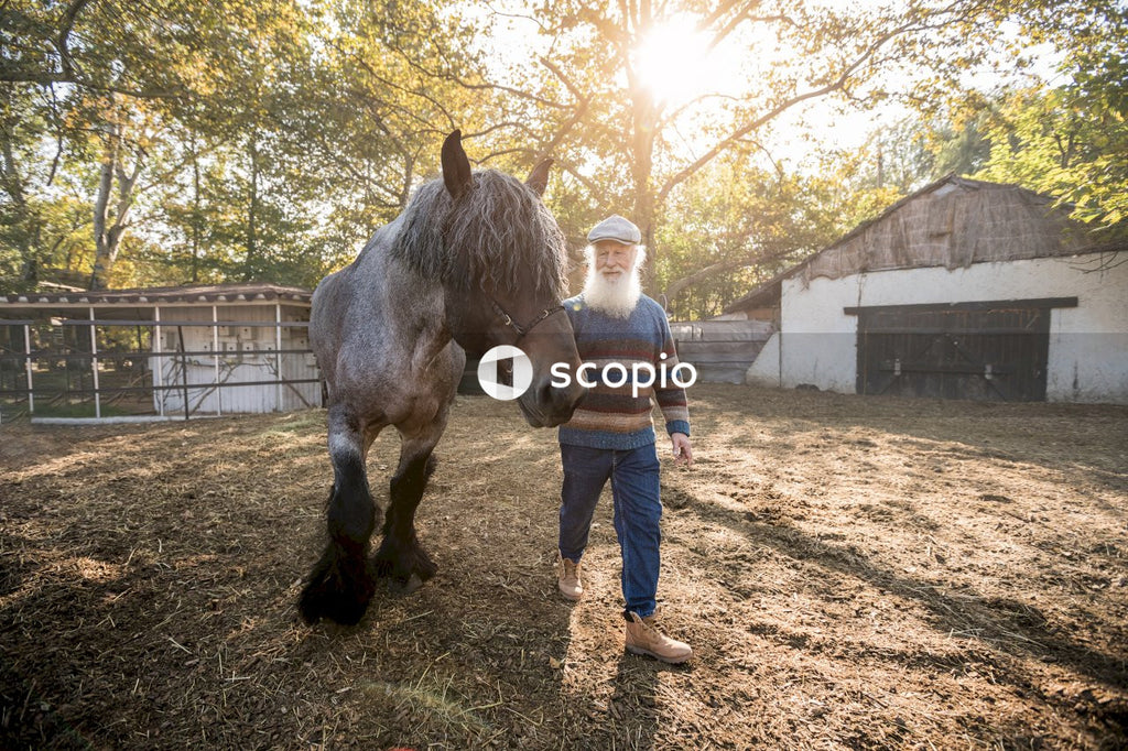 Man walking beside horse near barn
