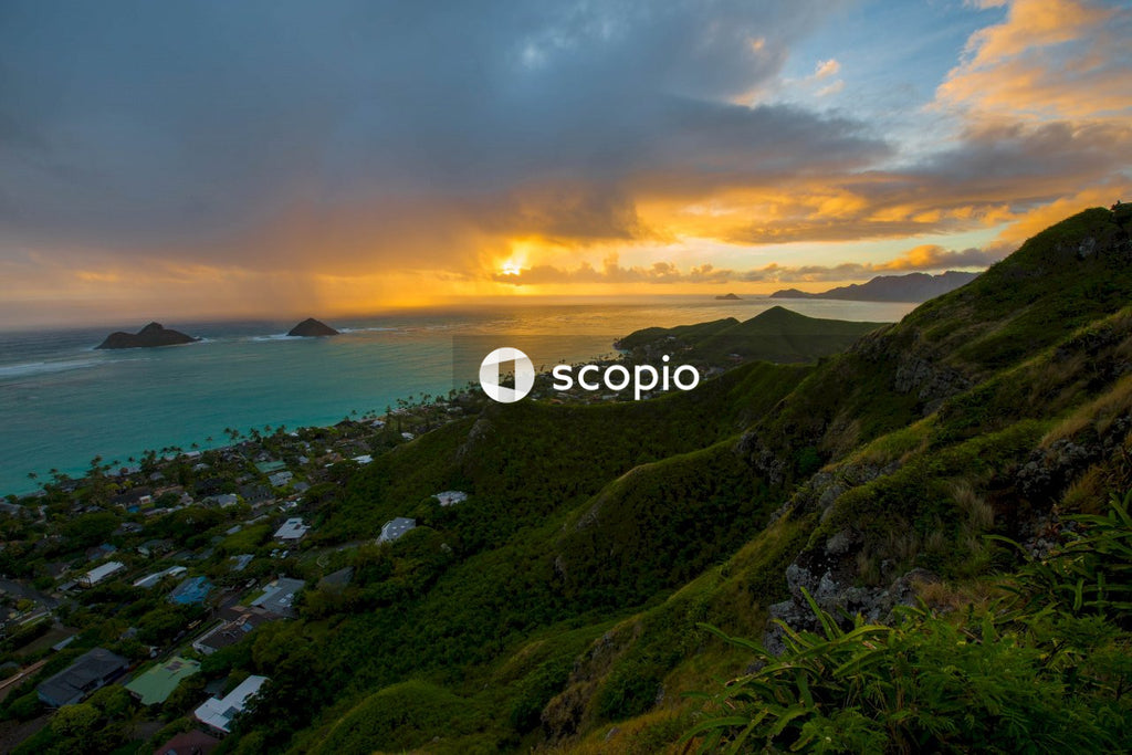 Green trees on mountain near sea during sunset