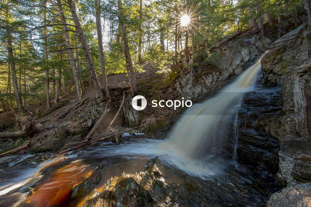 Water falls in the middle of the forest