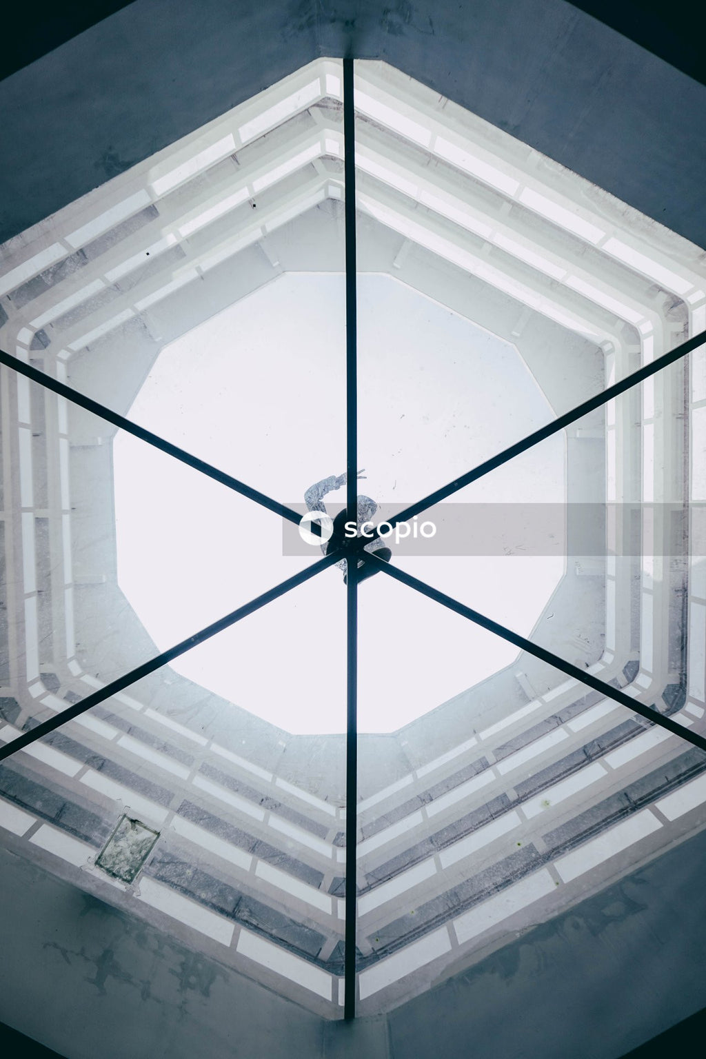 Low angle photography of glass ceiling