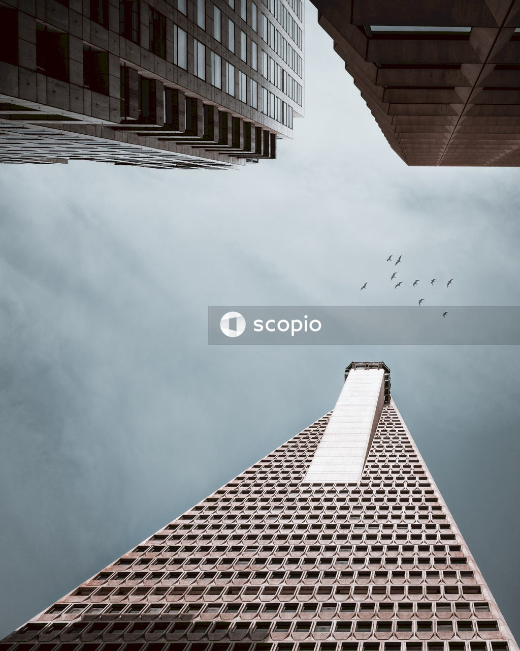 Low-angle photograph of buildings and a bird flying under blue sky
