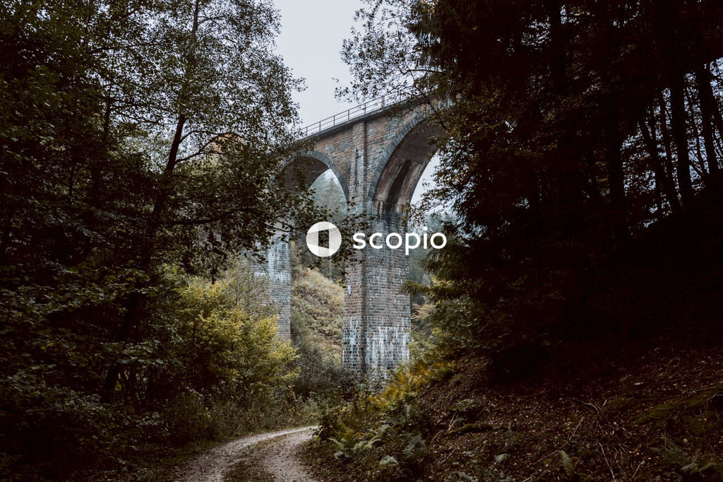 Green trees and brown concrete bridge