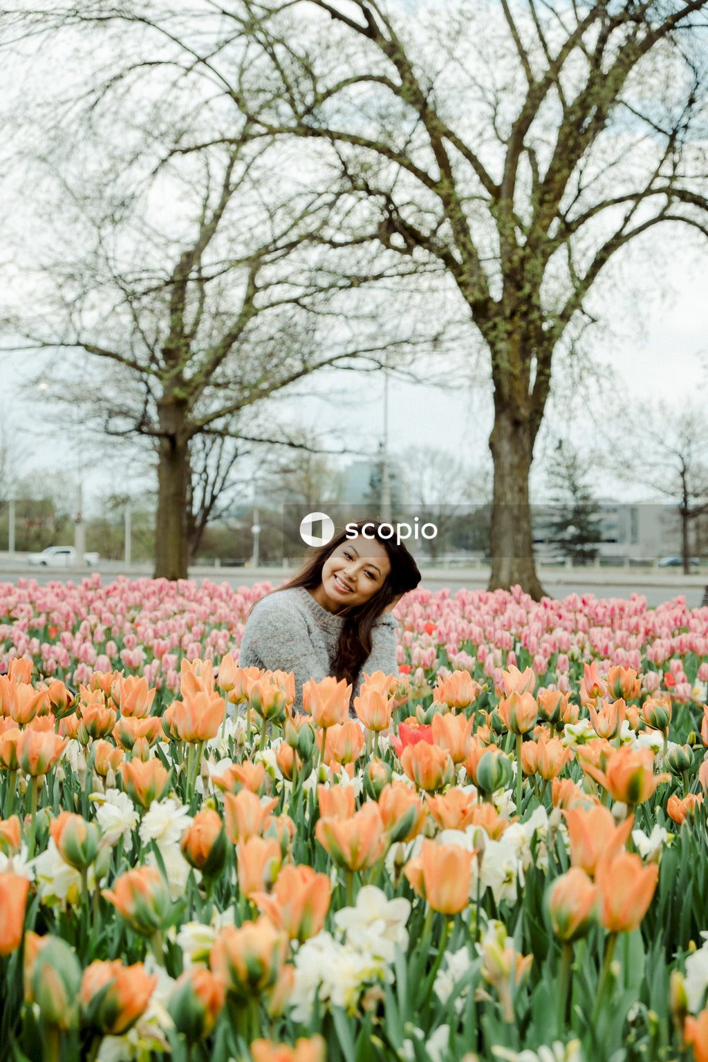 Woman in gray knit sweater standing in the middle of red tulips field
