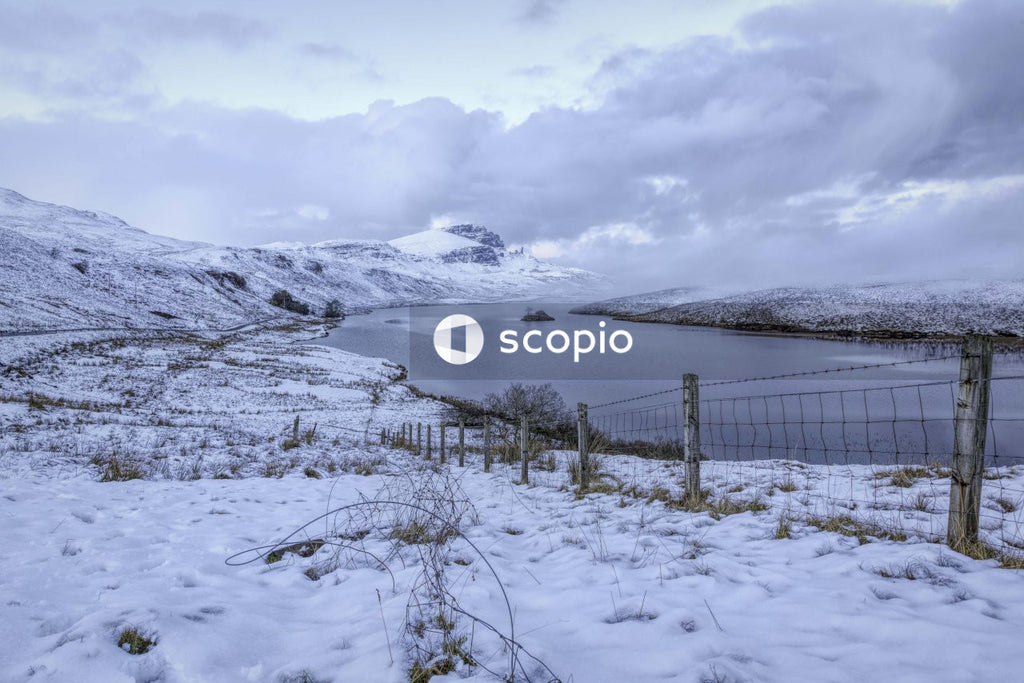 Winter landscape with river