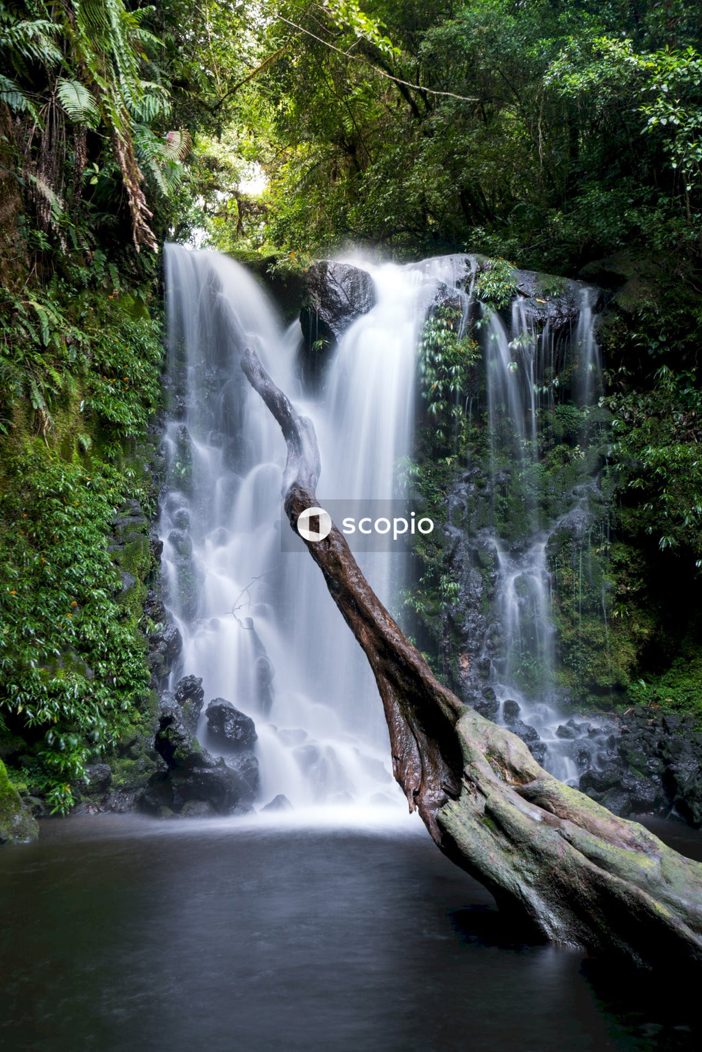 Waterfall in forest