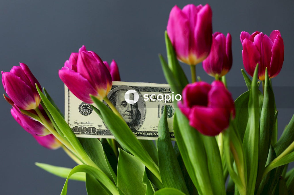 1 us dollar bill