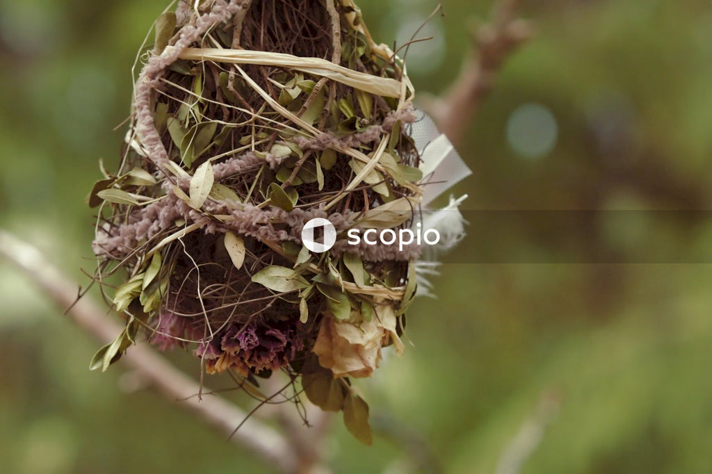 Brown and white bird nest