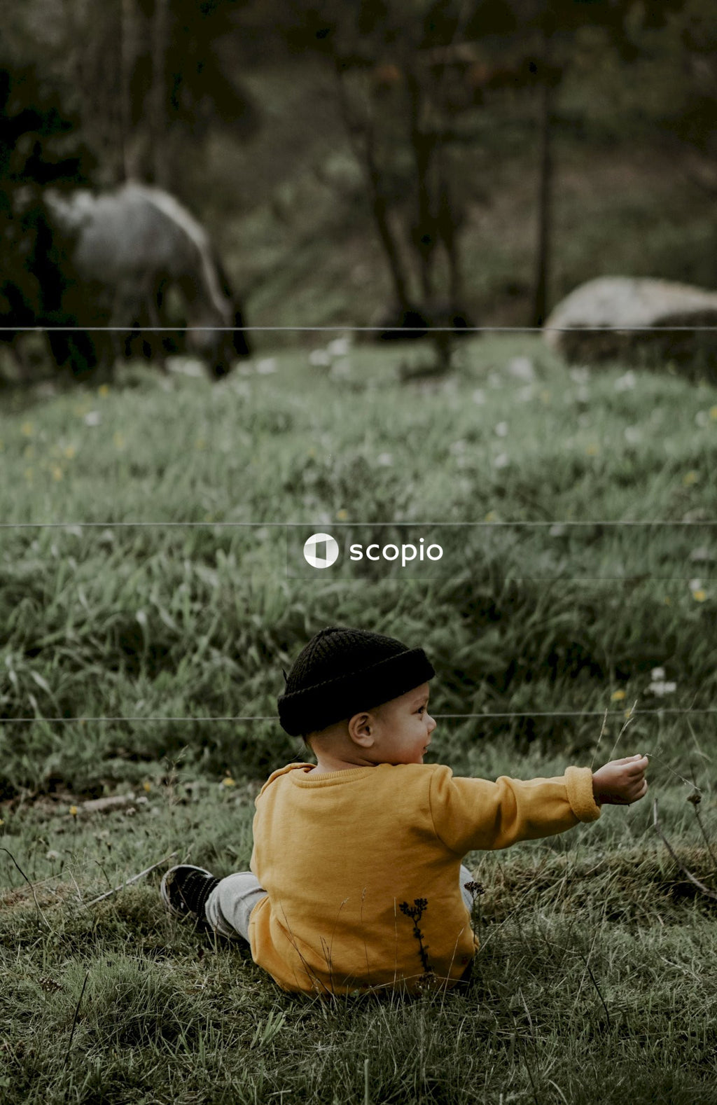 Backside of a young boy wearing black beanie and yellow jacket sitting on grass