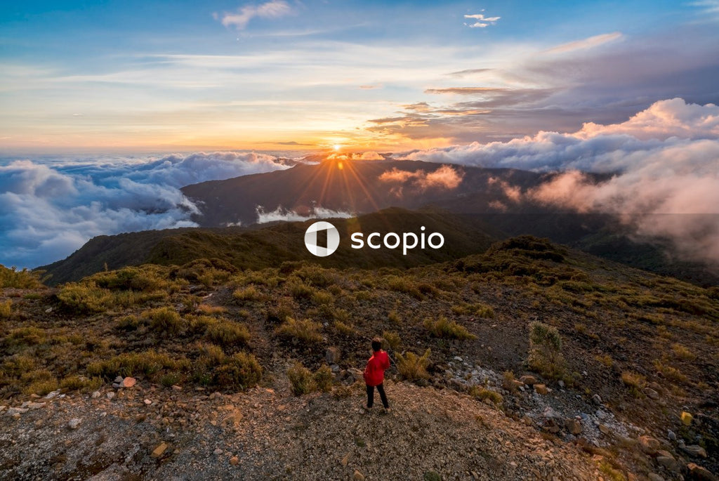 Person in red jacket standing on green grass field on top of mountain