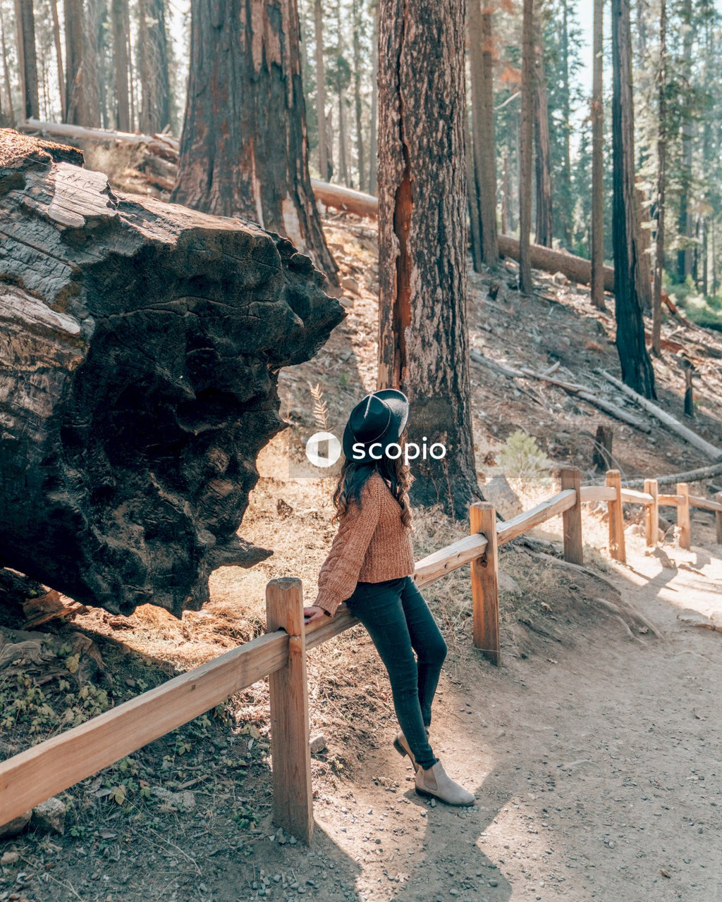 Woman in brown long sleeve shirt and black pants standing on brown wooden bridge