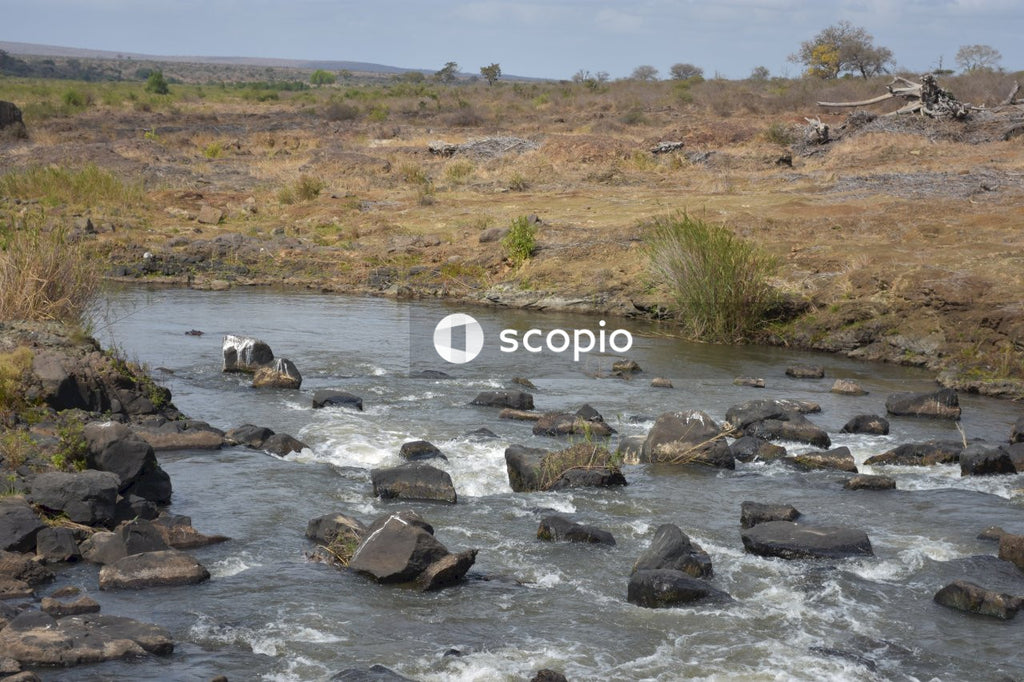 Brown and black rocks on river