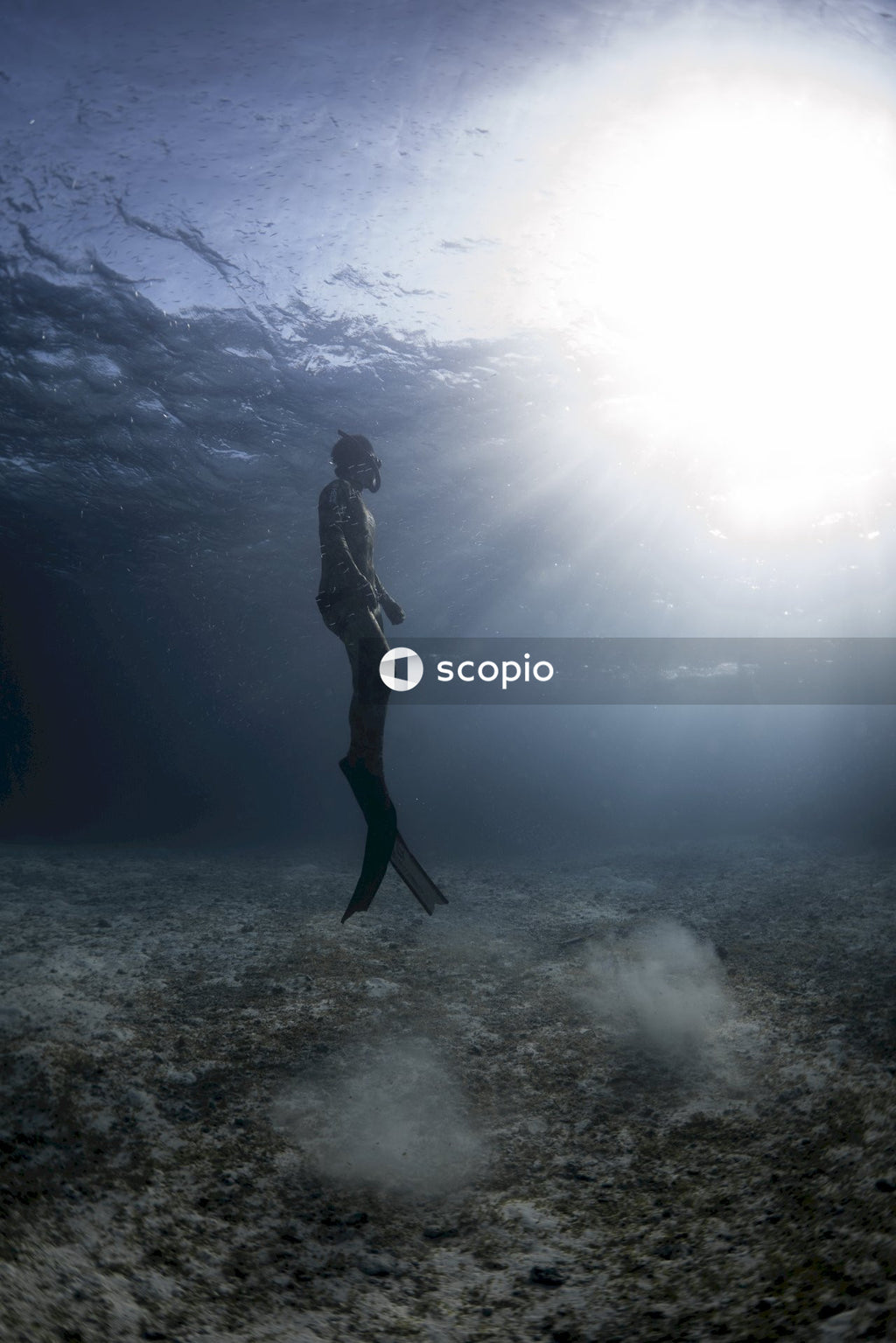 Underwater shot of man diving