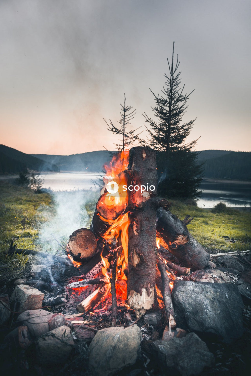 Burning wood on green grass field near lake