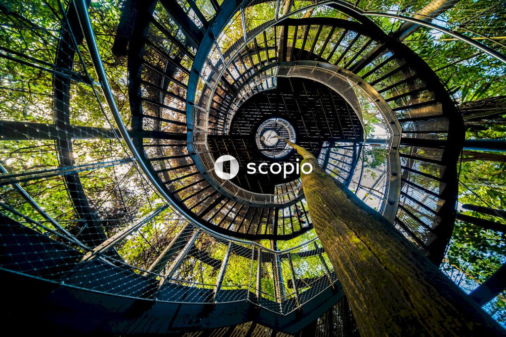 Green and brown spiral staircase