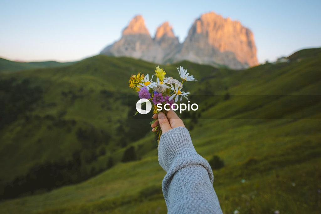 Person holding purple and white flower