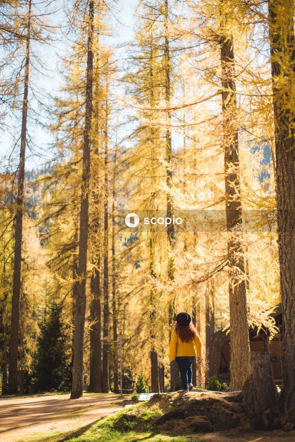 Woman in yellow jacket standing in front of brown trees