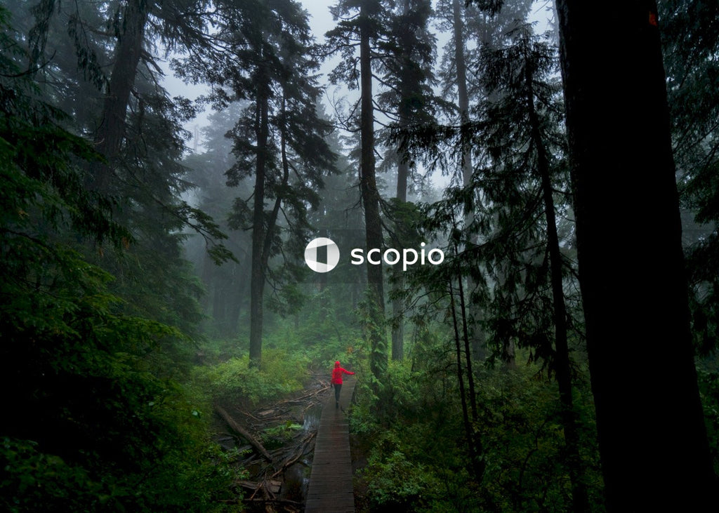 Person walks into forest