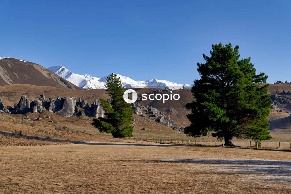 Green trees near mountain under blue sky