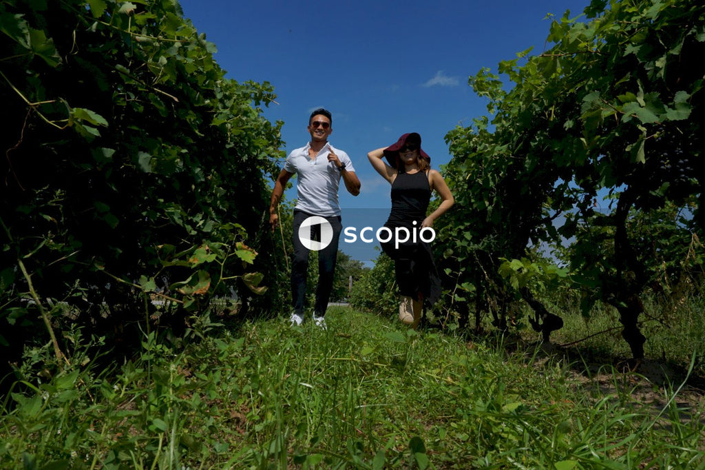 Man and woman walking on green grass between trees