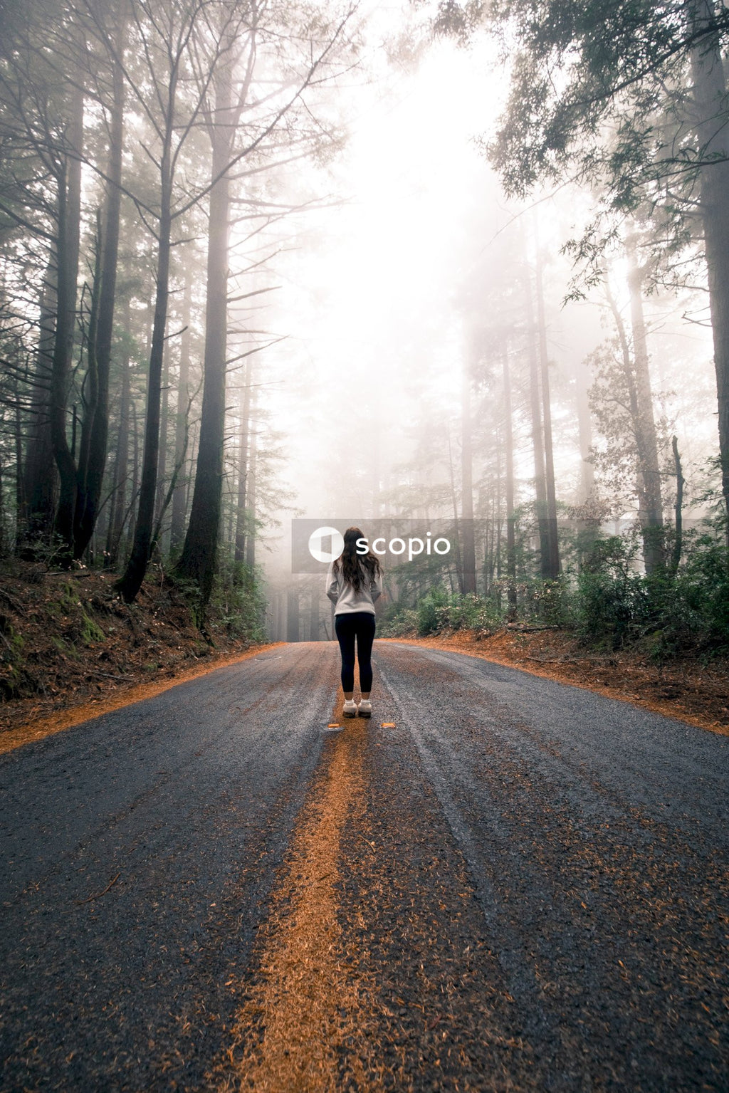 Woman in black jacket walking on road between trees