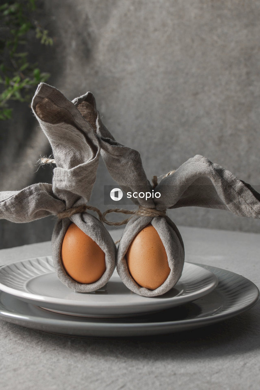 3 eggs on white ceramic plate