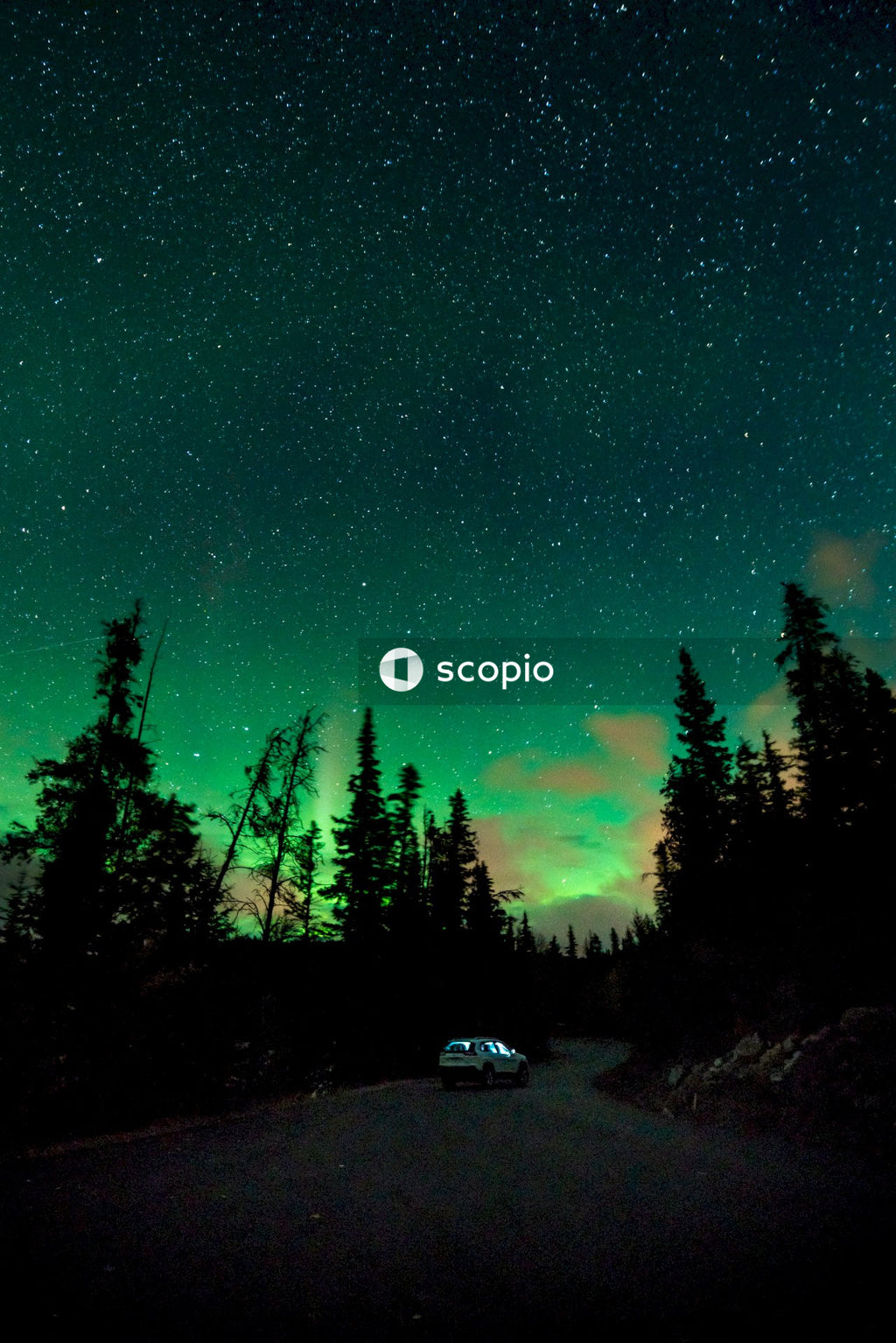 Car driving on road between trees under starry night sky