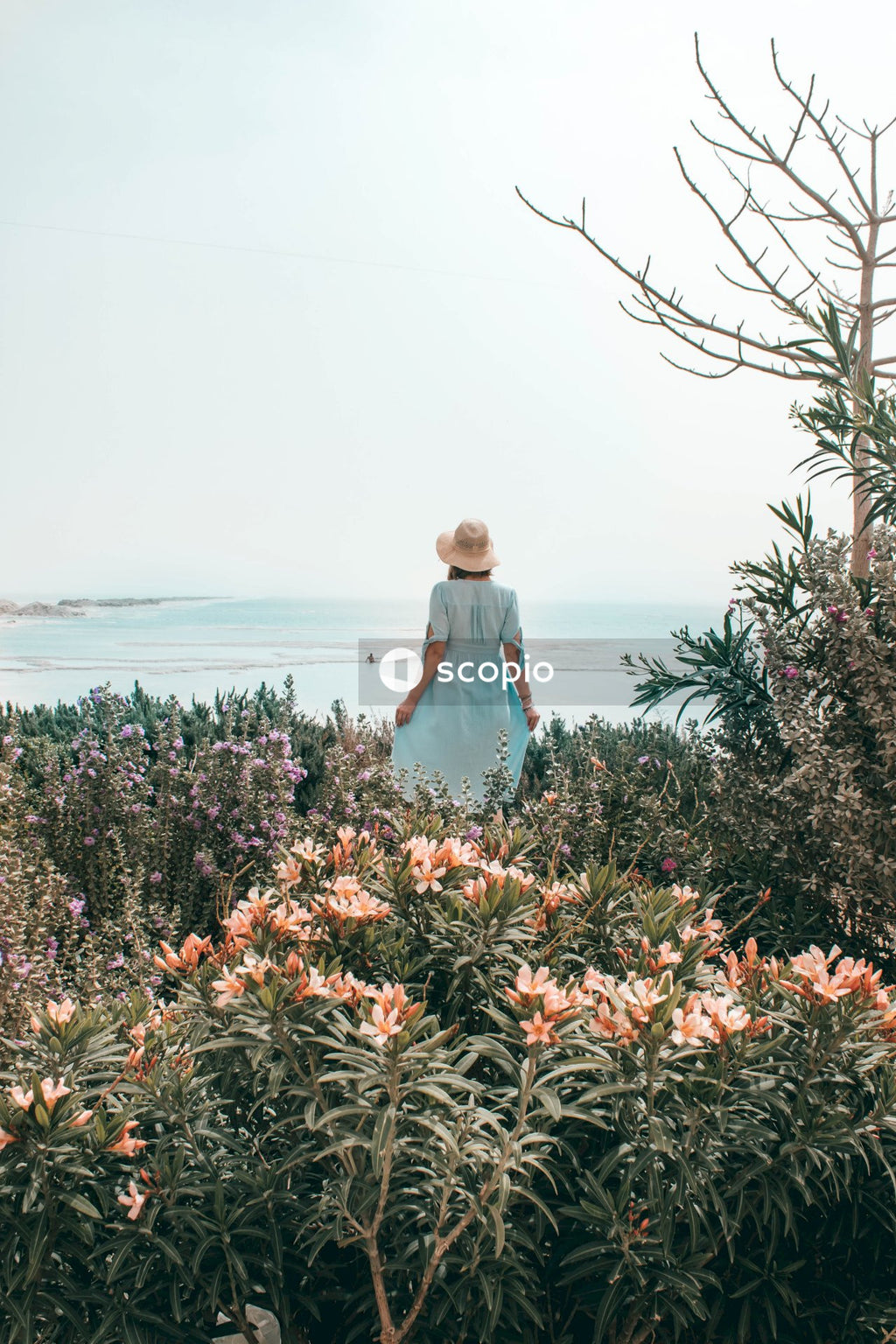 Woman in white dress standing on flower field