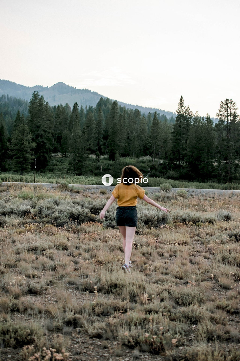 Back view of young woman in yellow shirt and dark shorts walking on grass field near pine trees