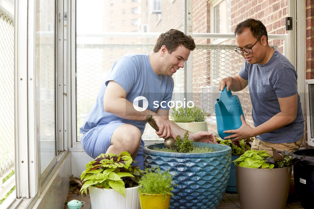 Two men taking care of green plants