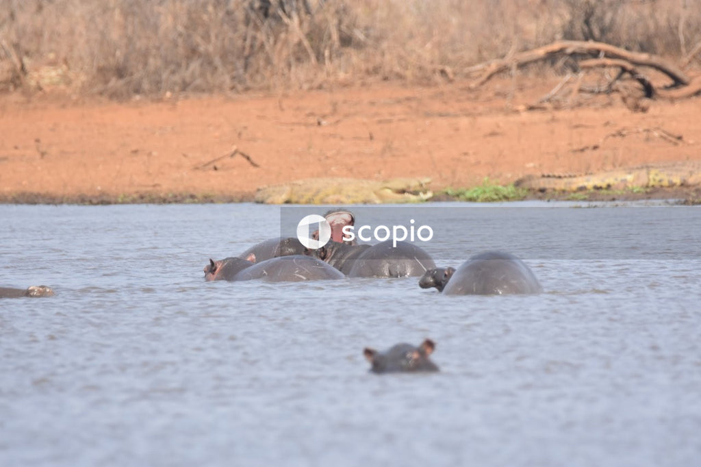 Black and gray unk on water