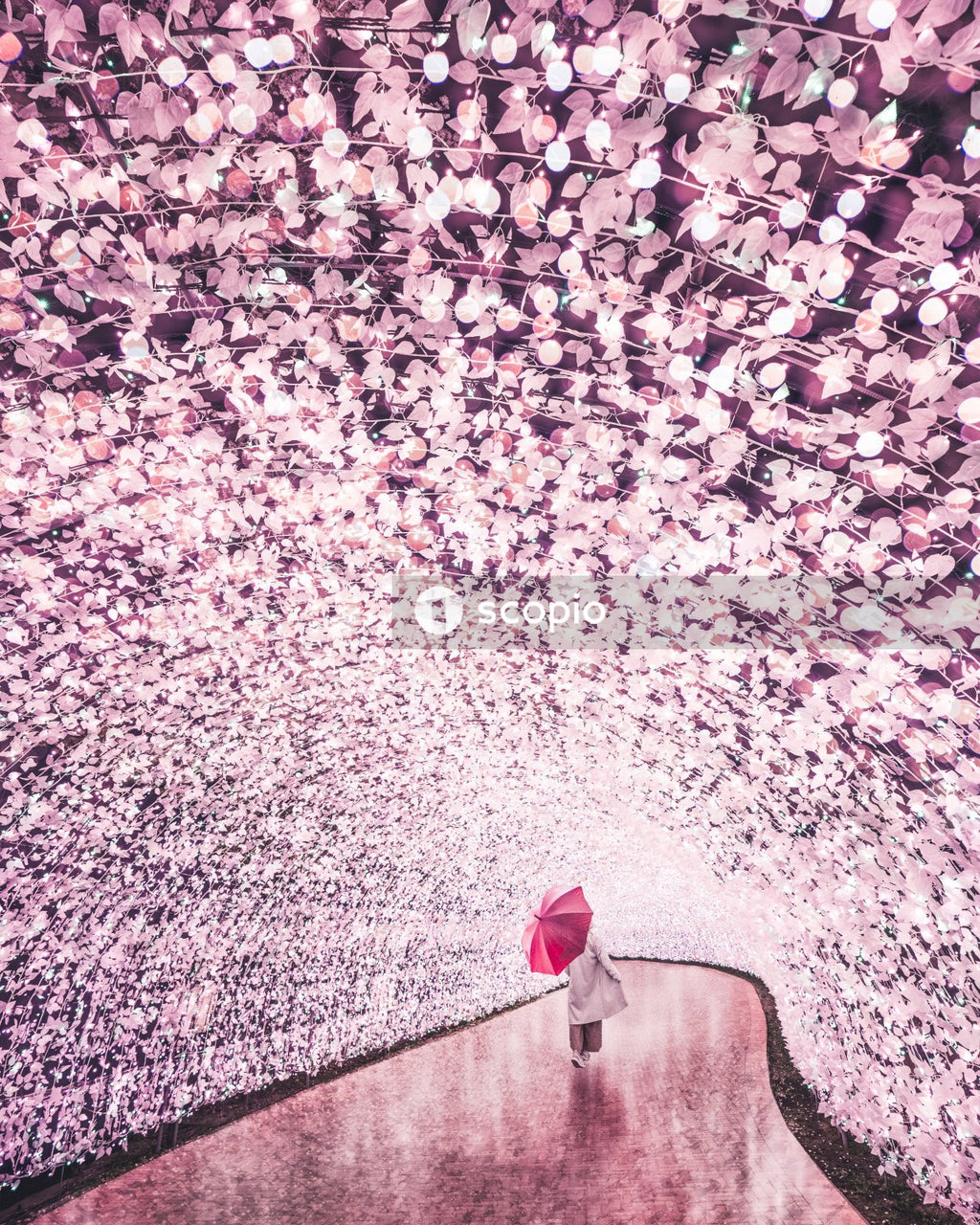Person holding an umbrella in pink floral tunnel