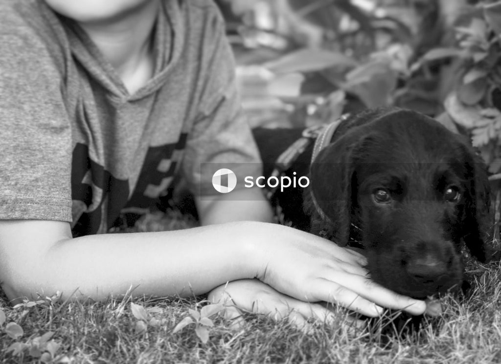Grayscale photo of someone in a black T-shirt next to a short coated dog