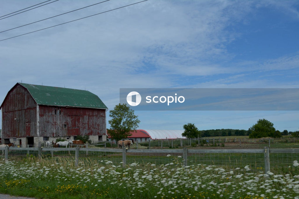 Red barn under blue sky