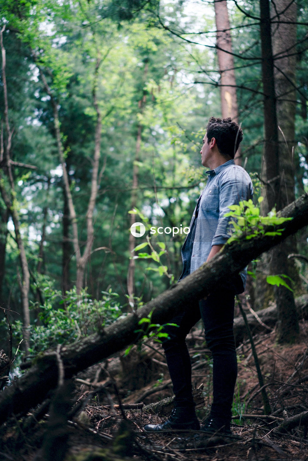 Man standing in forest