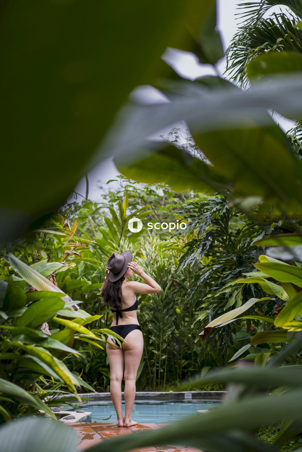 Woman in black bikini standing near green leaf plant