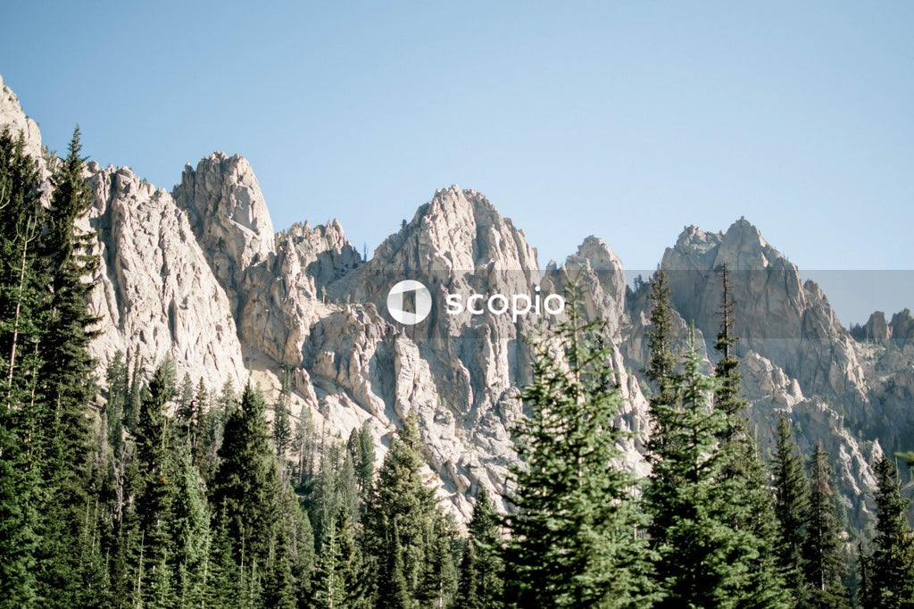 Green pine trees near brown mountain under blue sky