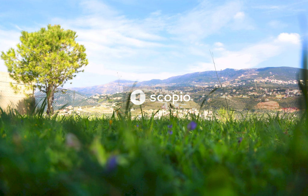 Green grass field near mountain