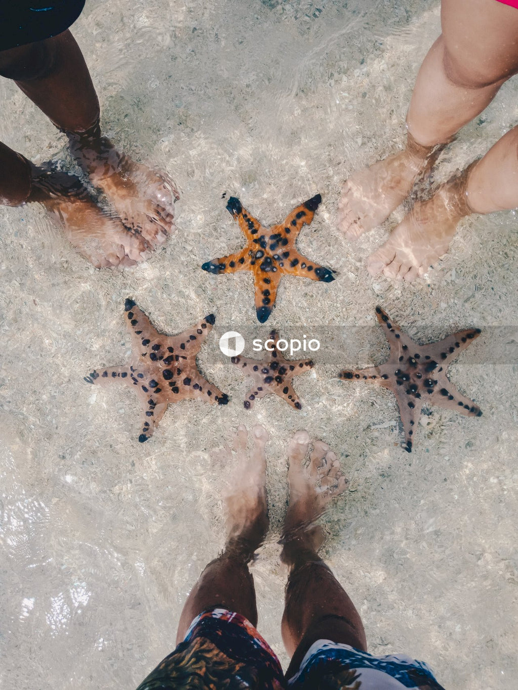 People standing around starfish