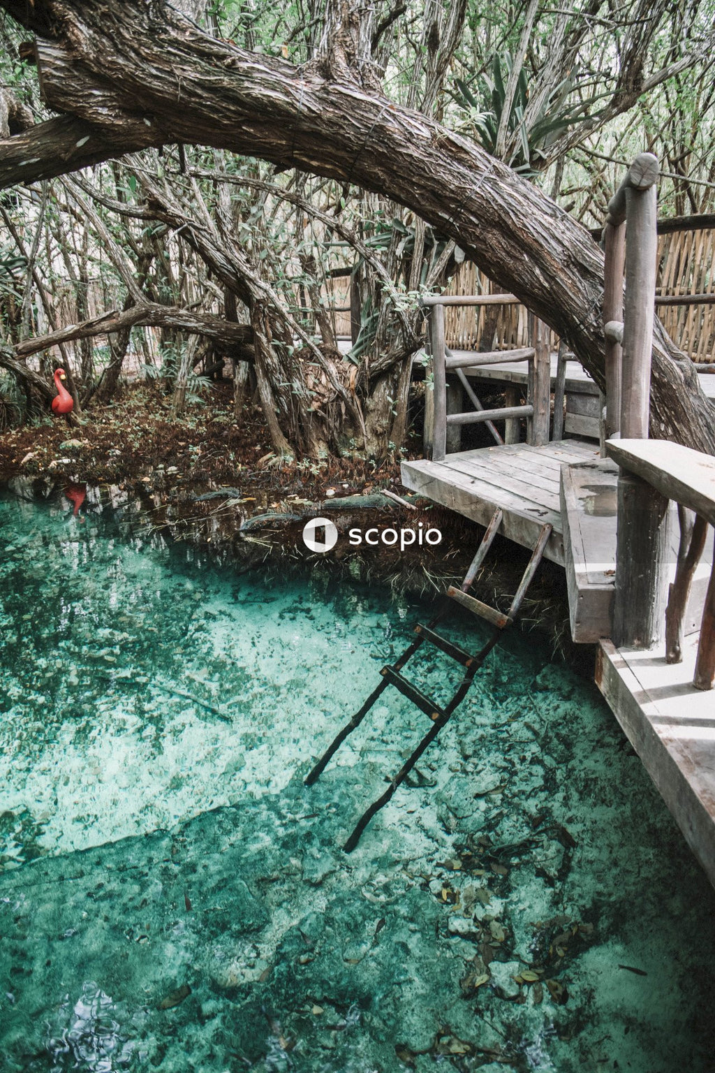 Brown wooden bridge over body of water