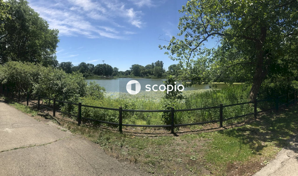 Green trees beside river under blue sky