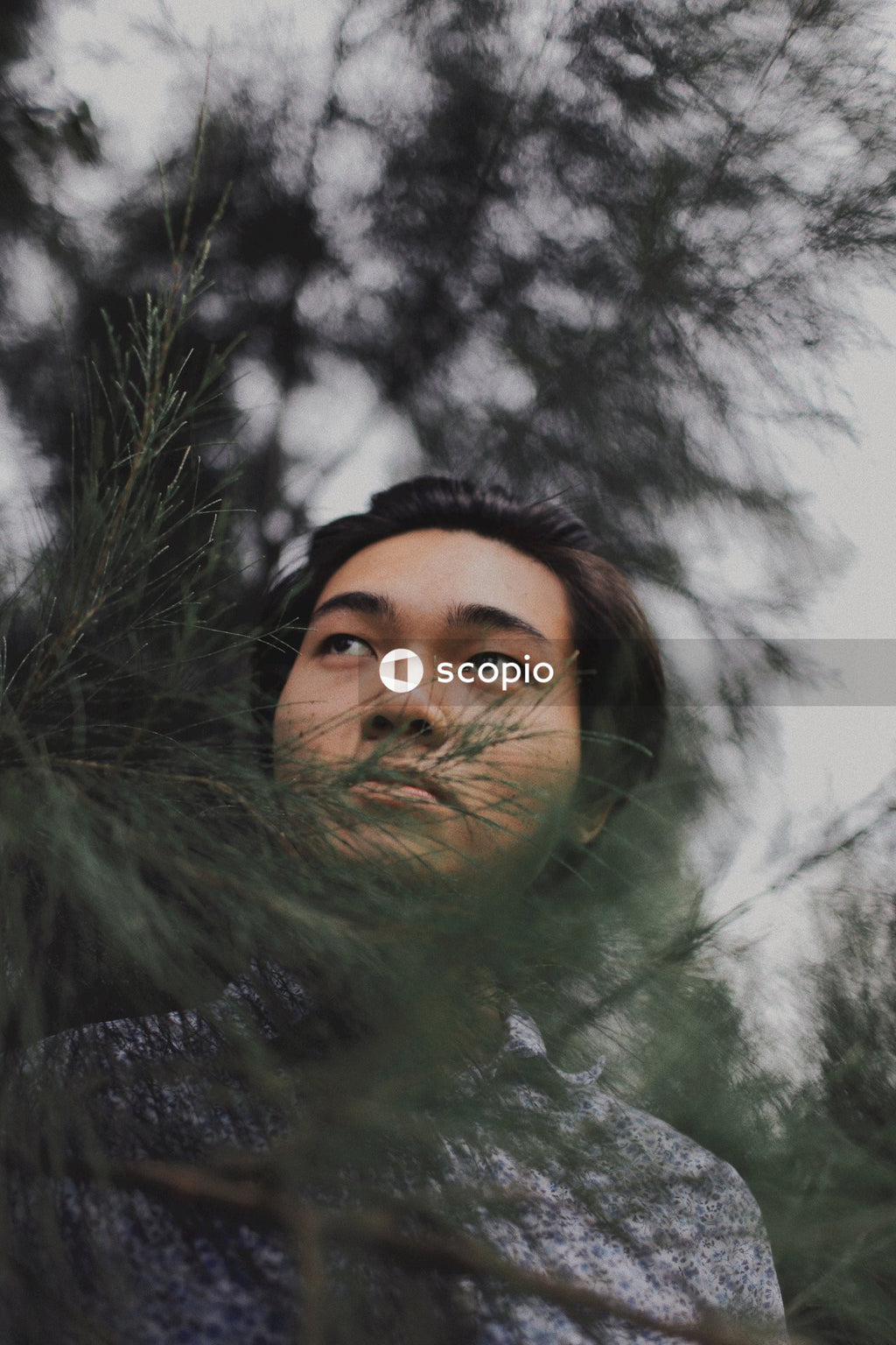 Young man standing behind pine tree branch