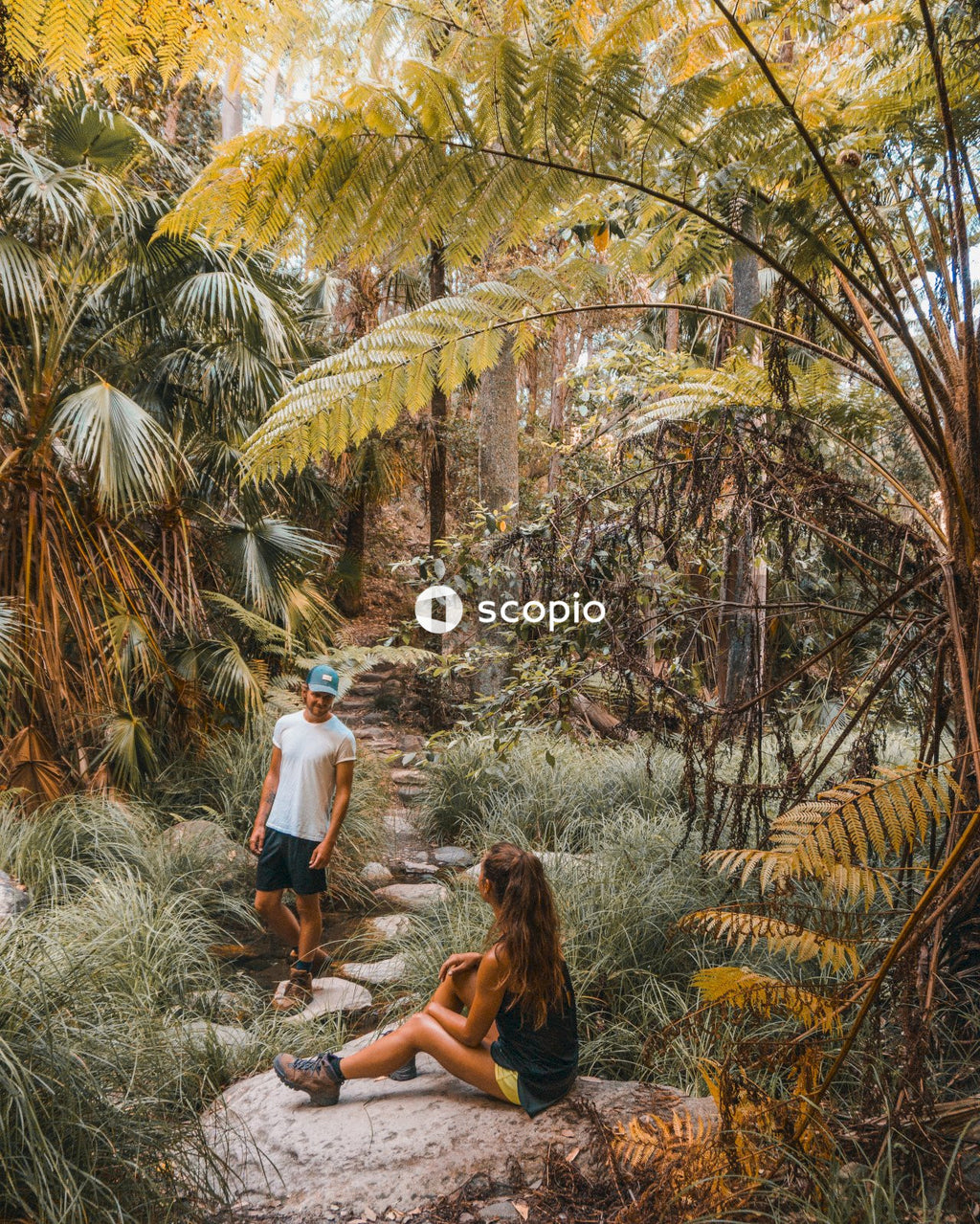 Man and woman looking at each other between trees