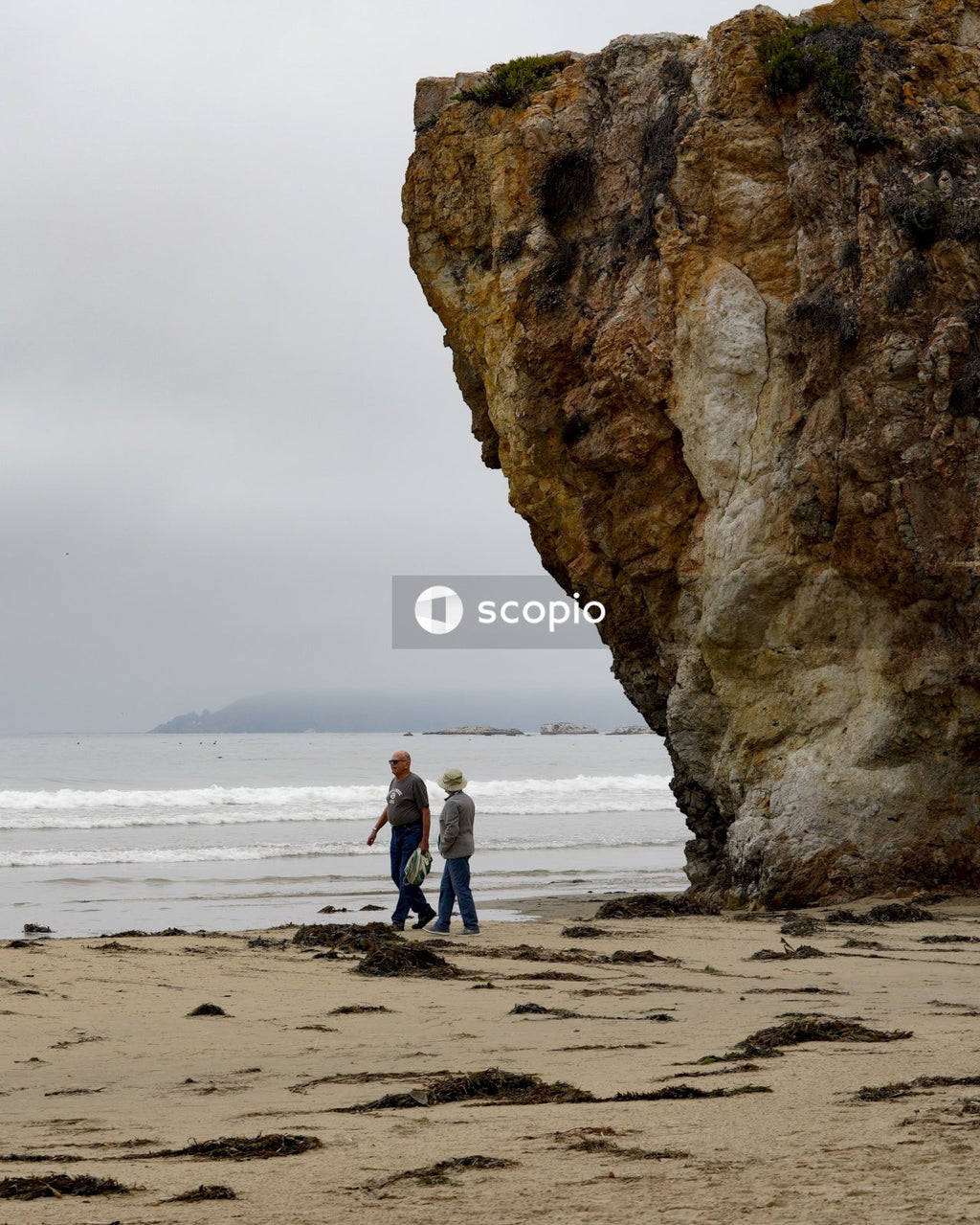 Couple walking on beach shore