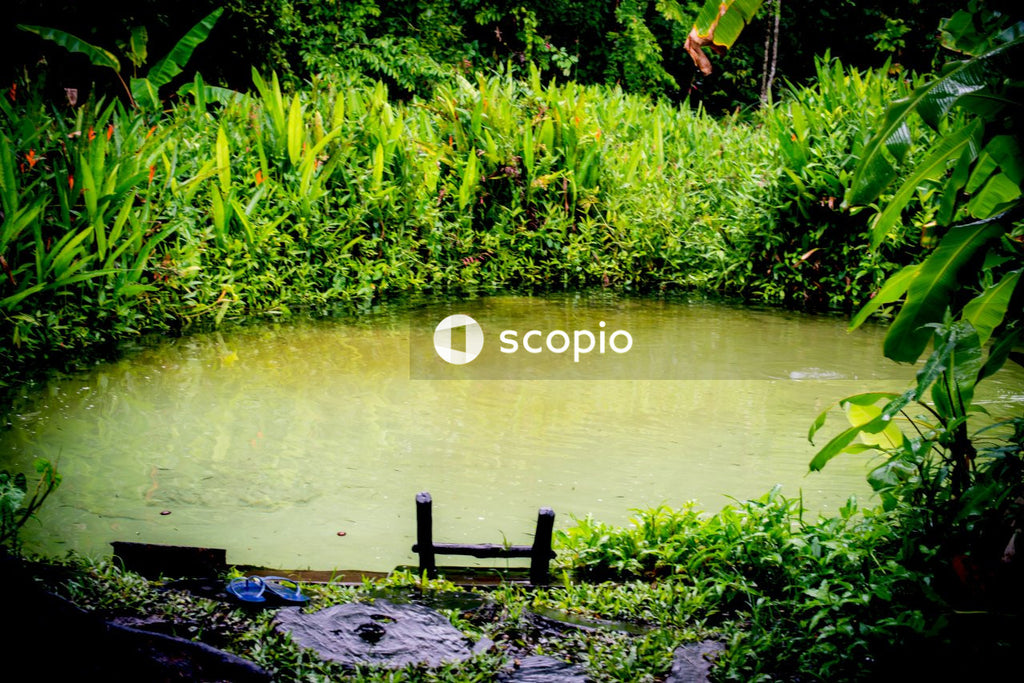 Shallow focus photo of body of water