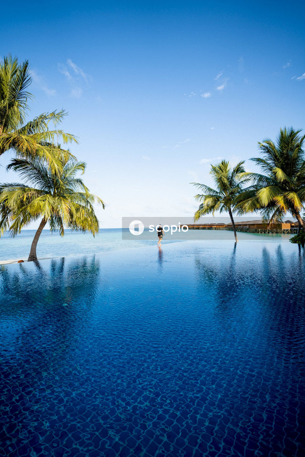 Person wading in shallow water near palm trees on the beach