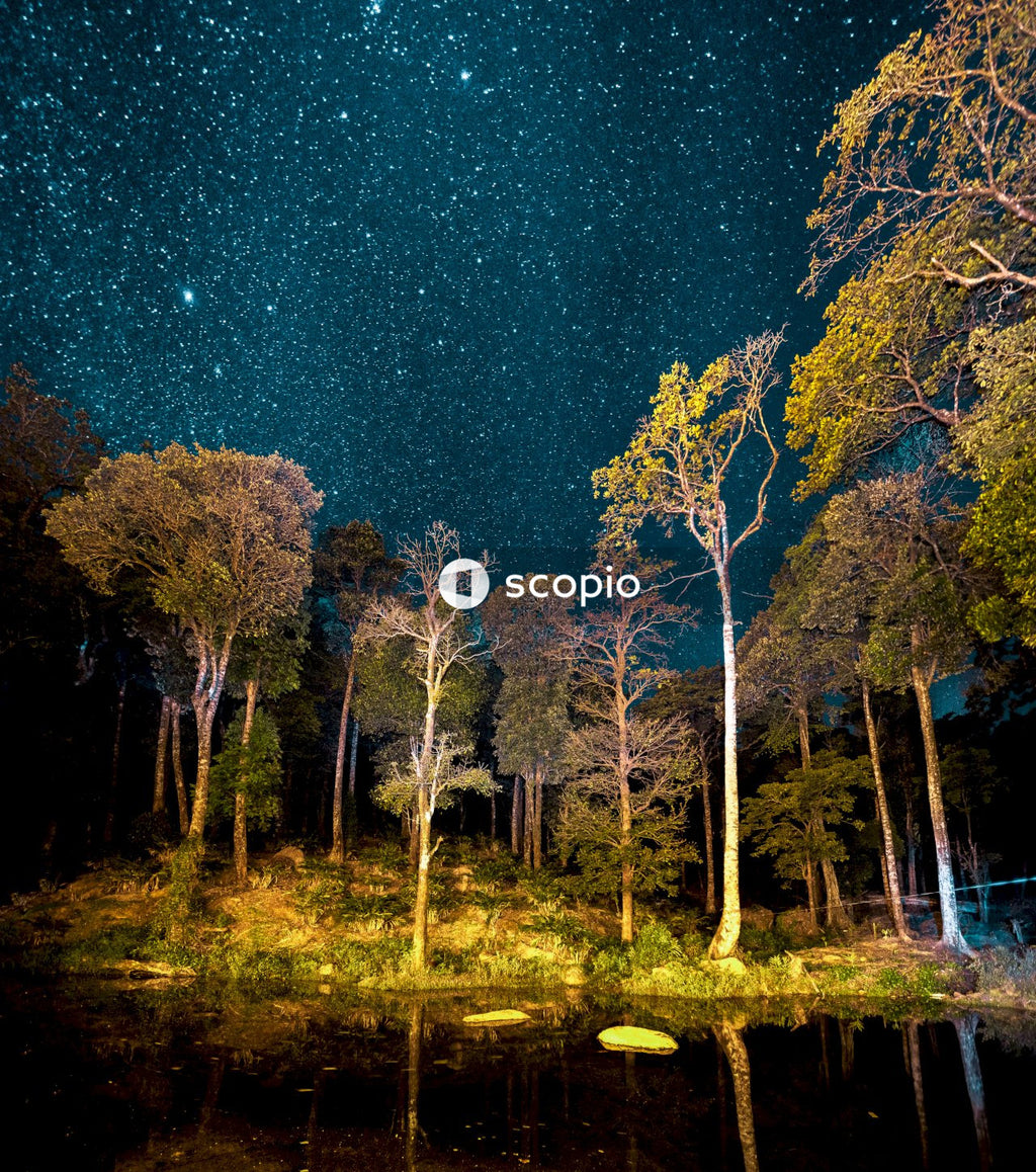 Many stars in sky