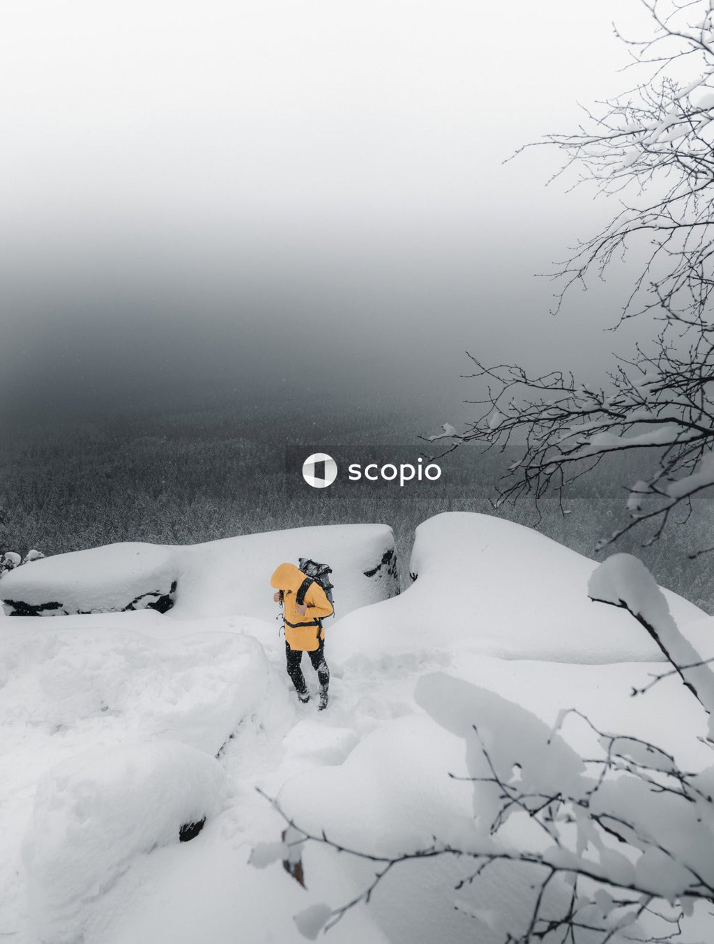Mountaineer on Snowy Summit